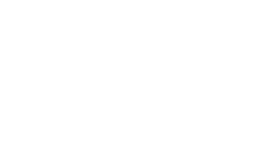 logo_light